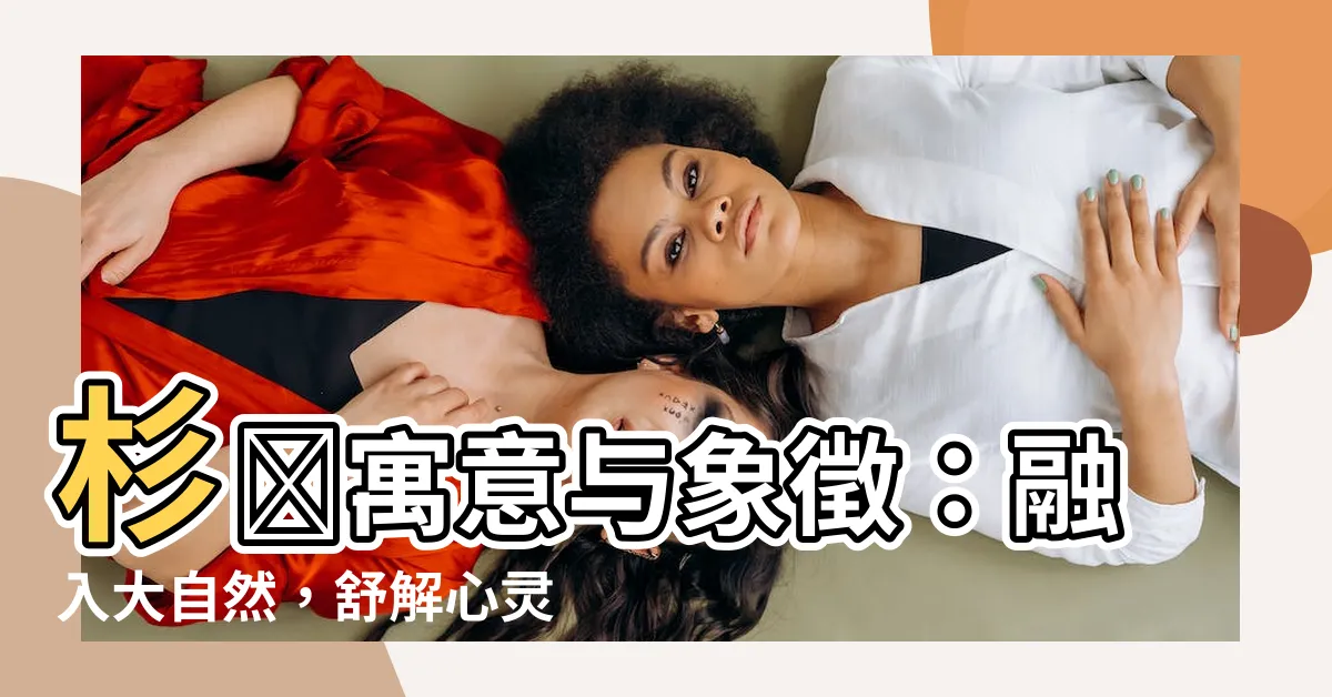 【杉樹寓意】杉樹寓意與象徵：融入大自然，舒解心靈壓力