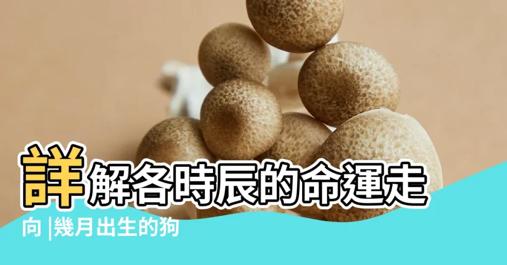 詳解各時辰的命運走向 |幾月出生的狗最好 |屬狗人幾點出生最好命 |【屬狗農曆9月生男孩未時命好嗎】