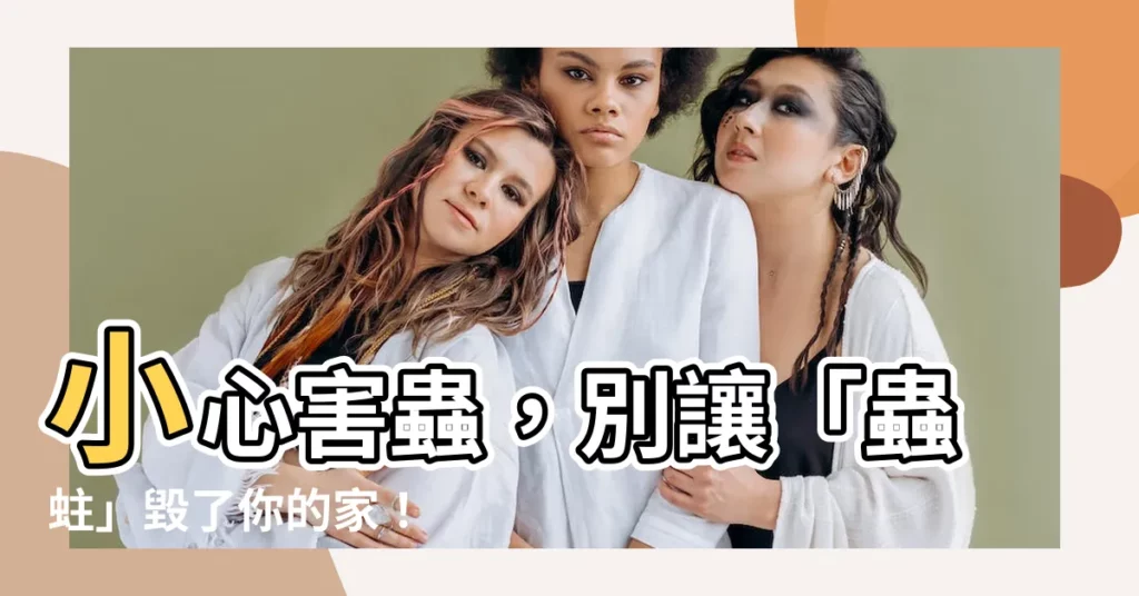 【蟲蛀】小心害蟲,別讓「蟲蛀」毀了你的家!