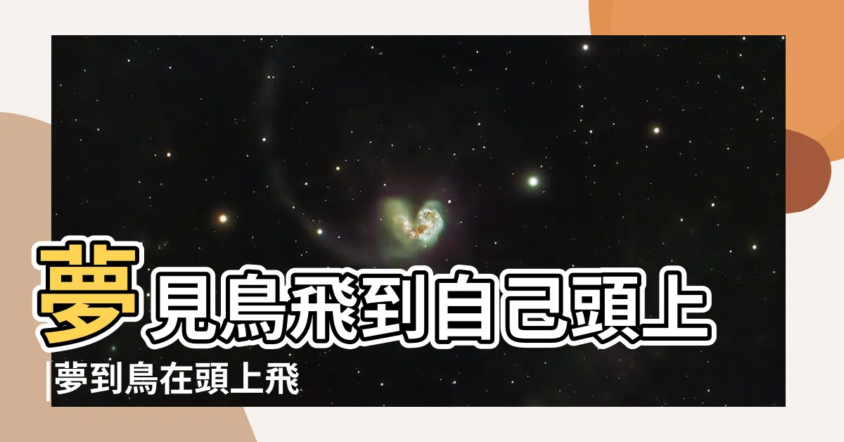 【夢見鳥飛到頭上】夢見鳥飛到自己頭上 |夢到鳥在頭上飛好不好 |夢見有鳥飛落到頭上好不好 |