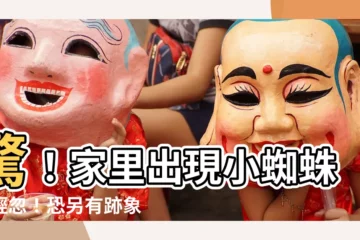 【家裏有小蜘蛛代表什麼】驚！家裏出現小蜘蛛別輕忽！恐另有跡象