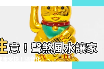 【聲煞 風水】注意！聲煞風水讓家人健康受損！隔音化解必看！