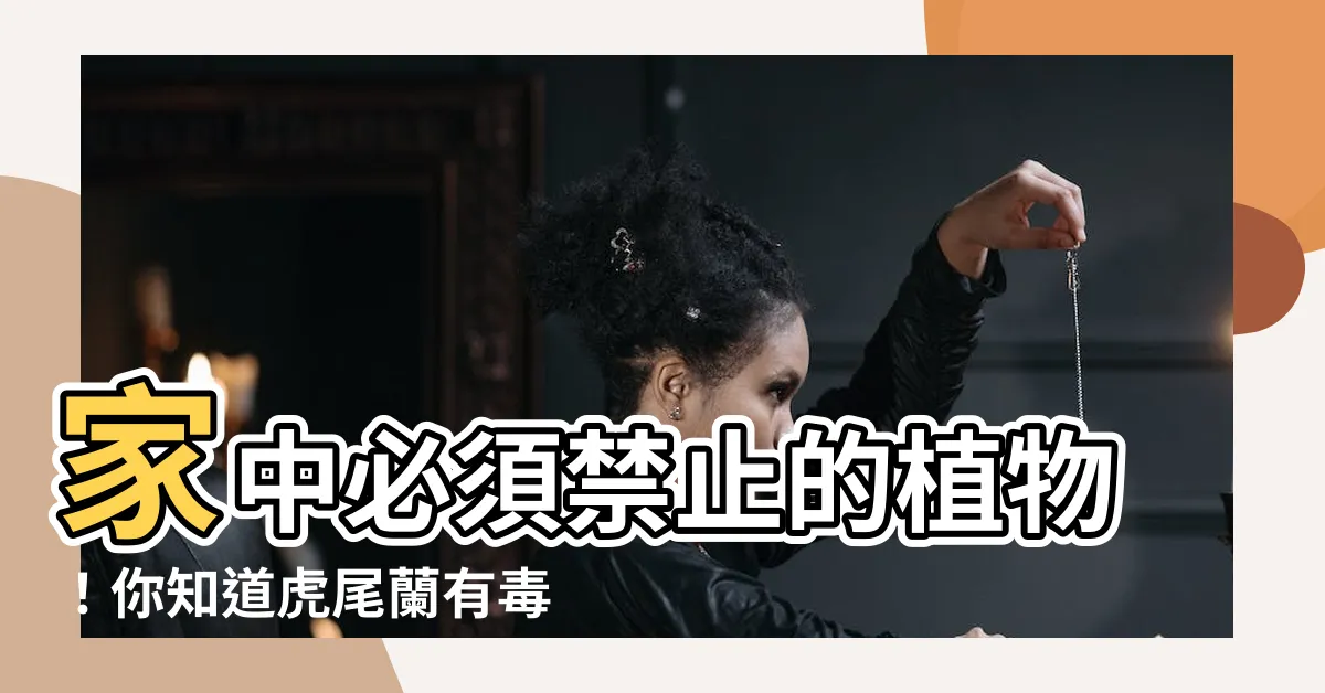 【虎尾蘭有毒嗎】家中必須禁止的植物！你知道虎尾蘭有毒嗎？