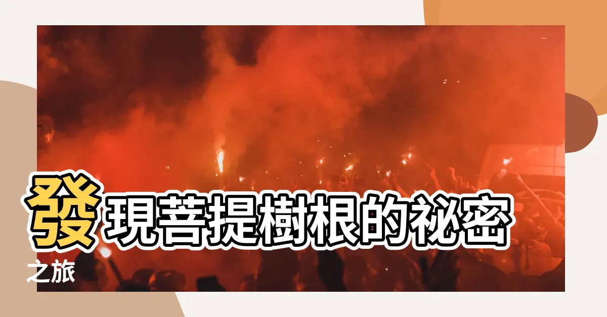 【菩提樹根】發現菩提樹根的秘密之旅