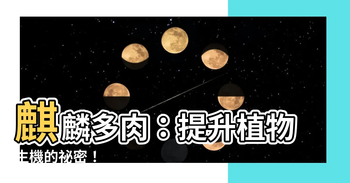 【麒麟多肉】麒麟多肉：提升植物生機的秘密！