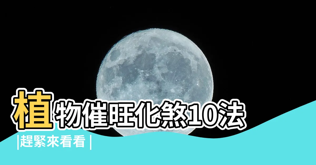 【擋煞樹】植物催旺化煞10法 |趕緊來看看 |命理專家指大門最關鍵 |