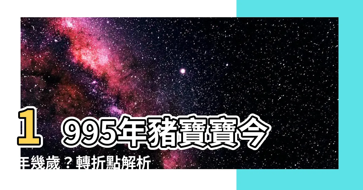 【1995年豬】1995年豬寶寶今年幾歲？轉折點解析！