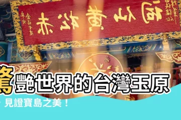 【台灣玉原石】驚艷世界的台灣玉原石，見證寶島之美！