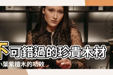 【小葉紫檀木功效】不可錯過的珍貴木材！小葉紫檀木的功效與奧秘大公開