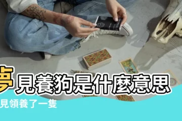 【女人夢見養一隻白色活潑小狗】夢見養狗是什麼意思 |夢見領養了一隻小狗 |夢見幾只小狗 |
