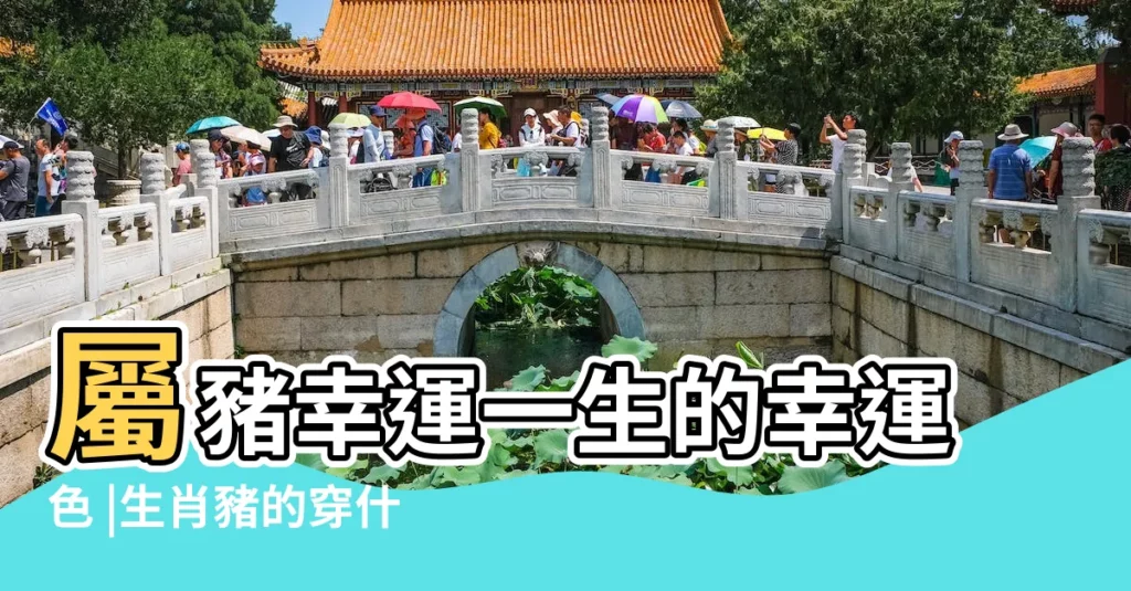 屬豬幸運一生的幸運色 |生肖豬的穿什麼顏色最好運最幸福 |搜索結果 |【83屬豬男人的幸運色】