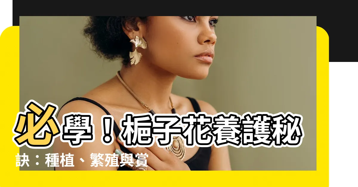 【字子花】必學！梔子花養護秘訣：種植、繁殖與賞花時機全攻略