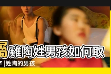 【陶姓雞寶寶男孩取名】屬雞陶姓男孩如何取名字 |姓陶的男孩名字大全屬雞陶姓男寶寶起名74個 |陶姓雞年寶寶名字大全 |