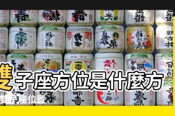 【雙子座方位】雙子座方位是什麼方向 |雙子座位置 |雙子座今日運勢 |
