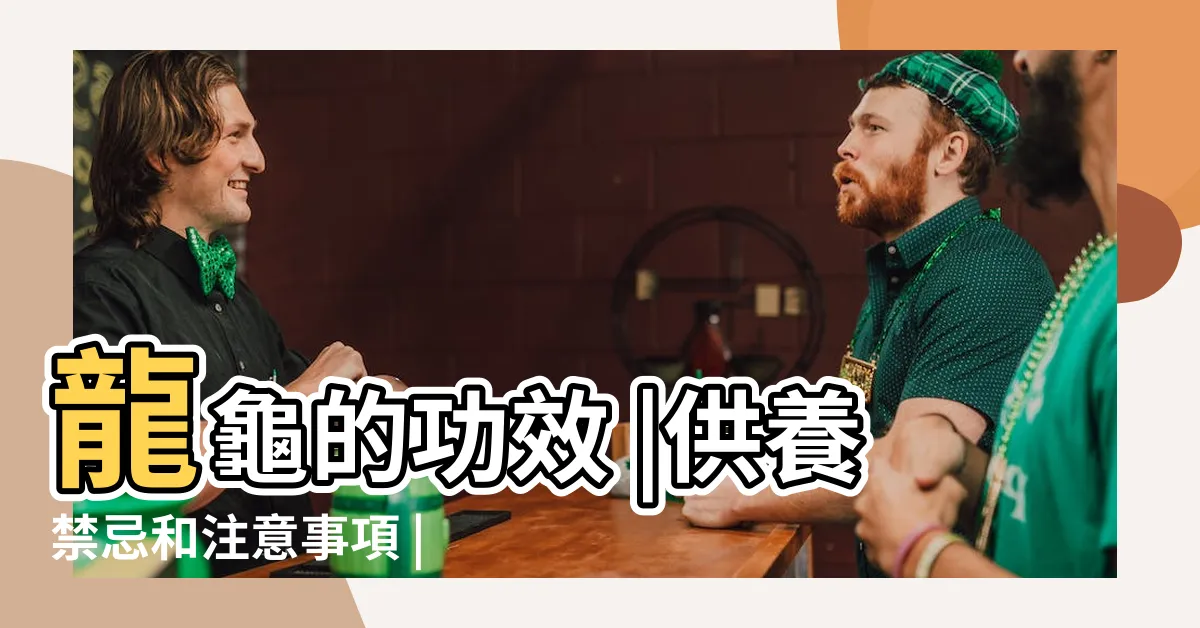 【龍龜淨化】龍龜的功效 |供養禁忌和注意事項 |龍龜的功效 |