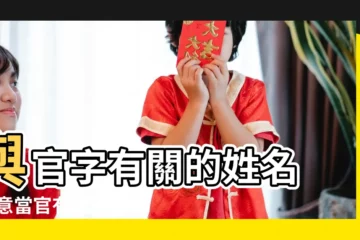 【起名字當官】與官字有關的姓名 |寓意當官有權的名字 |好聽寓意好帶官字的女孩洋氣的名字大全 |
