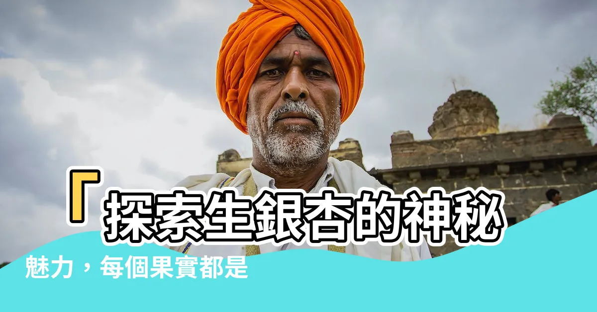 【生銀杏】「探索生銀杏的神秘魅力，每個果實都是寶藏！」