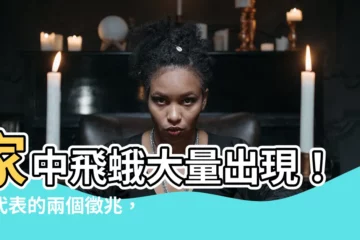 【家裡出現蛾代表】家中飛蛾大量出現！竟代表的兩個徵兆，是吉是兇？