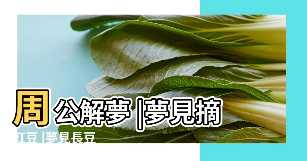 周公解夢 |夢見摘豇豆 |夢見長豆 |【周公解夢夢見自己在地裏摘江豆】