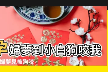 【孕初期夢見白狗咬我】孕婦夢到小白狗咬我 |孕婦夢見被狗咬 |孕婦夢見狗咬手 |