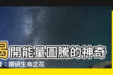 【能量圖騰】揭開能量圖騰的神奇力量：鑽研生命之花的奧秘！