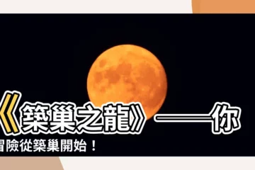 【巢作之龍】《築巢之龍》──你的冒險從築巢開始！