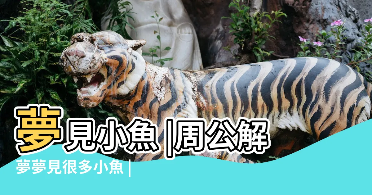 【夢見很多小魚】夢見小魚 |周公解夢夢見很多小魚 |夢見很多小魚 |
