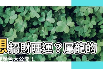 【屬龍的幸運顏色】想招財旺運？屬龍的幸運顏色大公開！