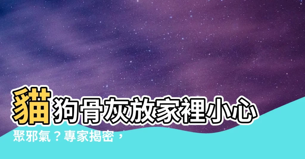 【寵物骨灰放家裡】貓狗骨灰放家裡小心聚邪氣？專家揭密，鏟屎官崩潰哭了