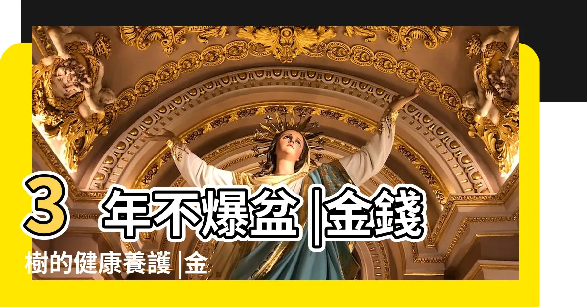 【金錢樹會開花】3年不爆盆 |金錢樹的健康養護 |金錢樹開花不吉利 |