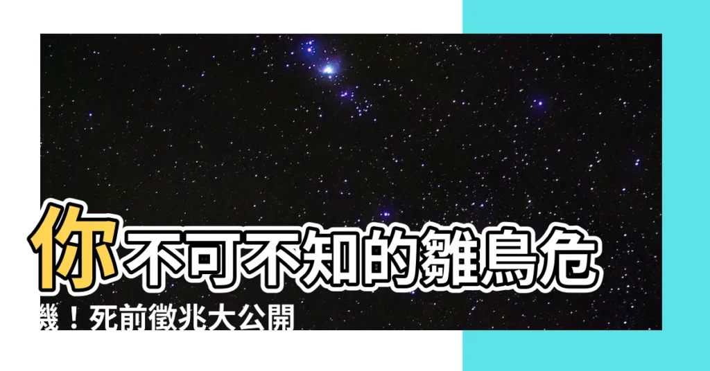【雛鳥死前的徵兆】你不可不知的雛鳥危機！死前徵兆大公開