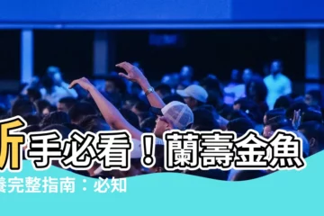【蘭壽金魚飼養方法】新手必看！蘭壽金魚飼養完整指南：必知方法與小技巧