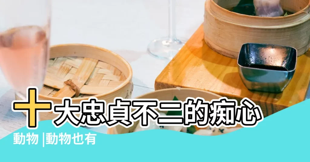 十大忠貞不二的痴心動物 |動物也有 |忠貞的愛情 |【終貞不二的動物】
