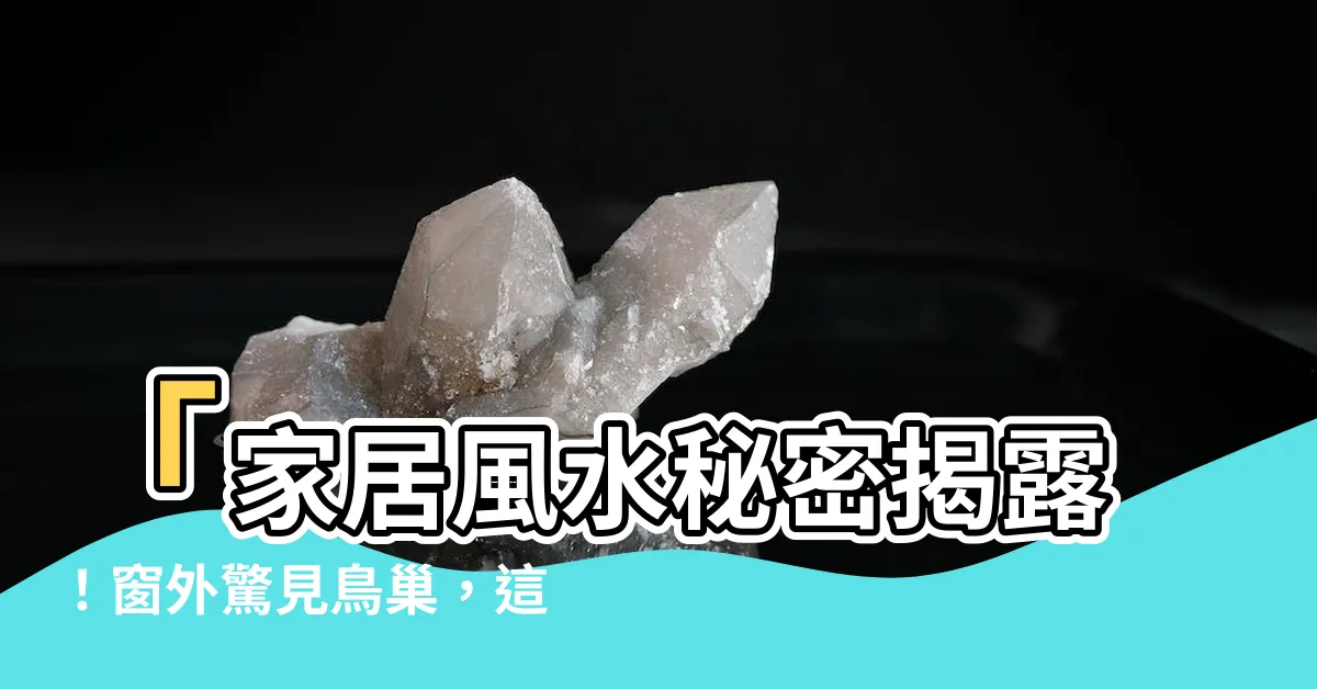 【家裡窗户有鳥巢】「家居風水秘密揭露！窗外驚見鳥巢，這裡為何成佳居？」