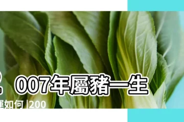 【2007屬豬人一生的命運】2007年屬豬一生命運如何 |2007年屬豬一生三大劫難 |2007年屬豬五行屬什麼 |