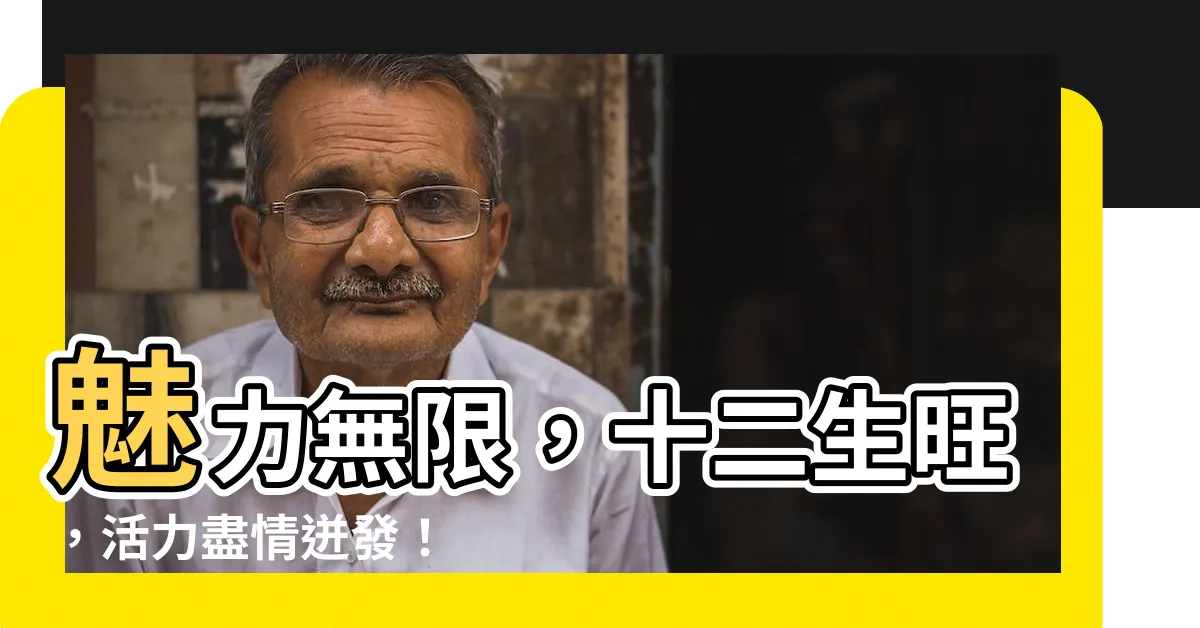 【十二生旺】魅力無限，十二生旺，活力盡情迸發！