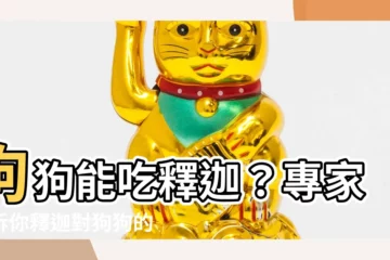 【釋迦狗可以吃嗎】狗狗能吃釋迦？專家告訴你釋迦對狗狗的9大好處