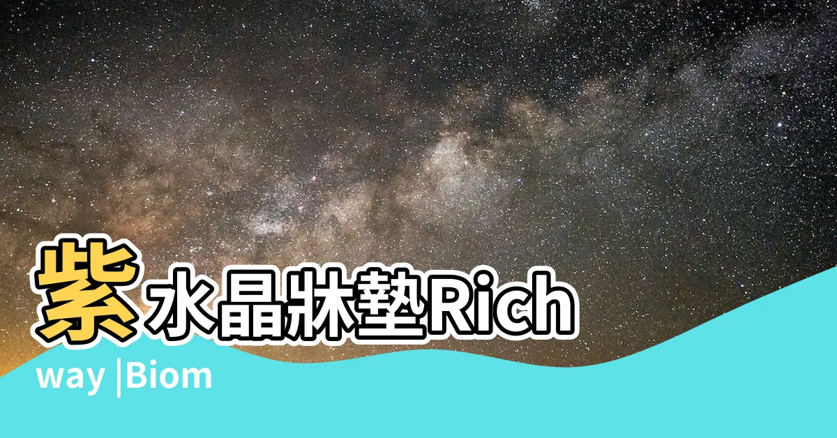 【紫水晶牀】紫水晶牀墊Richway |Biomat |Biomat |