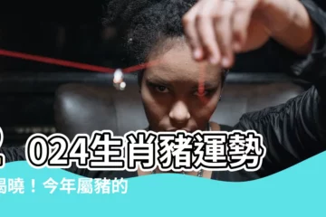 【今年屬豬的運勢】2024生肖豬運勢大揭曉！今年屬豬的運勢如何？