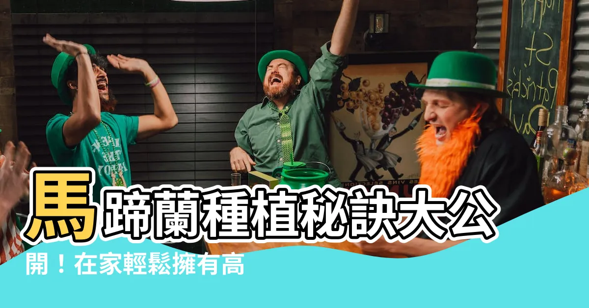 【馬蹄蘭 種植】馬蹄蘭種植秘訣大公開！在家輕鬆擁有高雅白花～