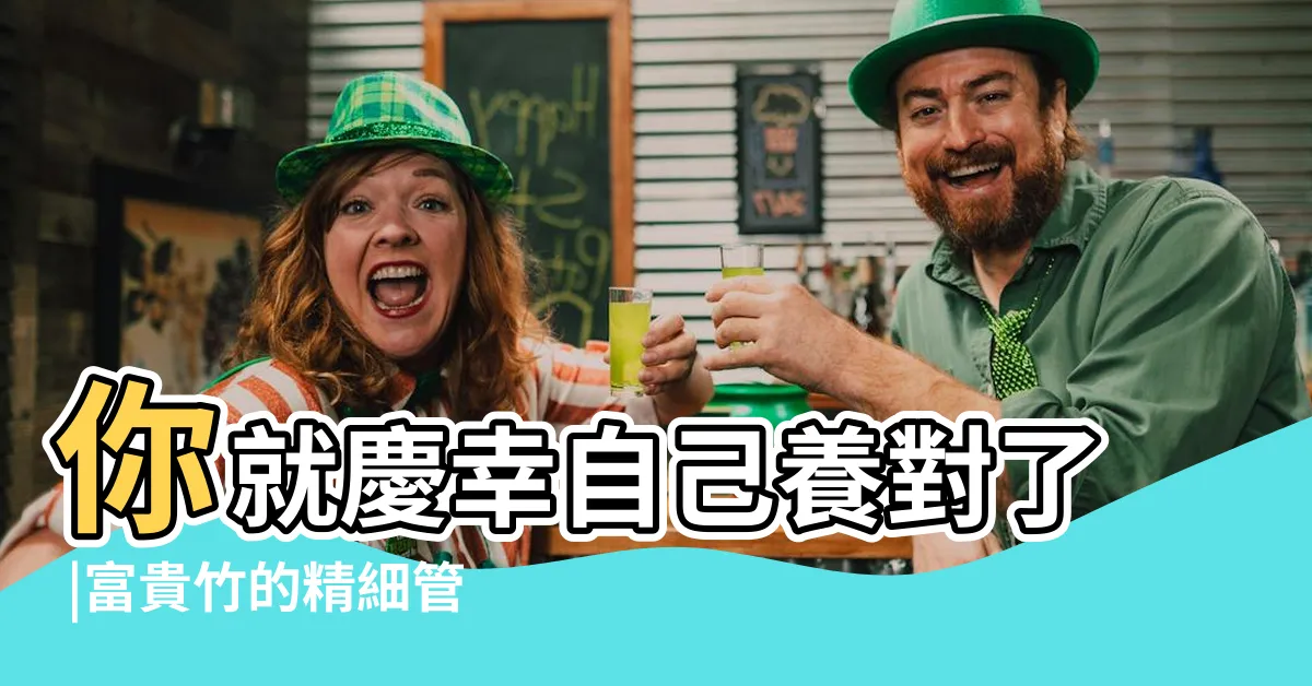 【富貴竹】你就慶幸自己養對了 |富貴竹的精細管理全攻略 |看完這些 |