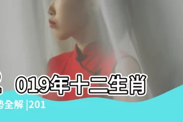 【十二生肖2019運程】2019年十二生肖運勢全解 |2019年十二生肖運勢大公開 |2019年最幸運的生肖是 |