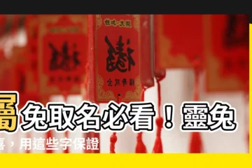 【屬兔 字】屬兔取名必看！靈兔報喜，用這些字保證好運連連