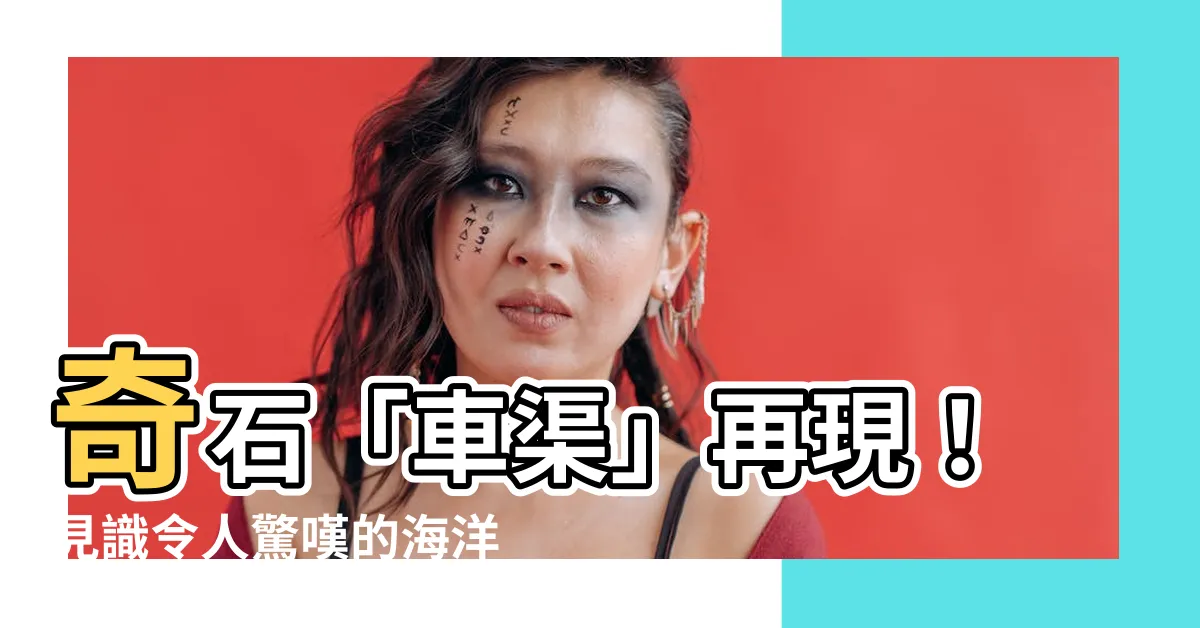 【石車石渠】奇石「車渠」再現！見識令人驚嘆的海洋瑰寶