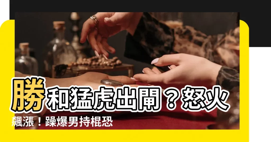 【虎你老母】勝和猛虎出閘？怒火飆漲！躁爆男持棍恐嚇 巴士司機