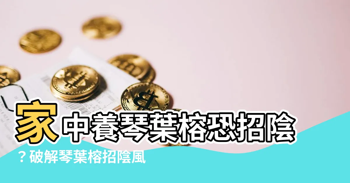 【琴葉榕招陰】家中養琴葉榕恐招陰？破解琴葉榕招陰風水禁忌