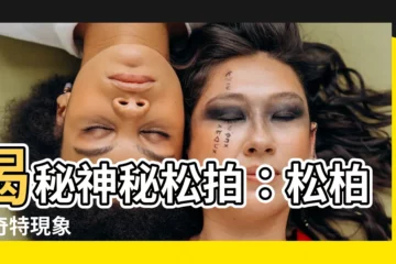【松拍】揭秘神秘松拍：松柏的奇特現象