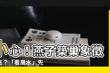 【燕子築巢象徵】小心！燕子築巢象徵凶兆？「看風水」先別想，真相竟是…
