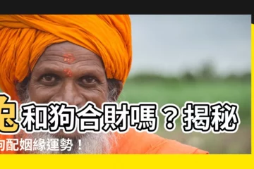 【兔和狗合嗎】兔和狗合財嗎？揭秘兔狗配姻緣運勢！