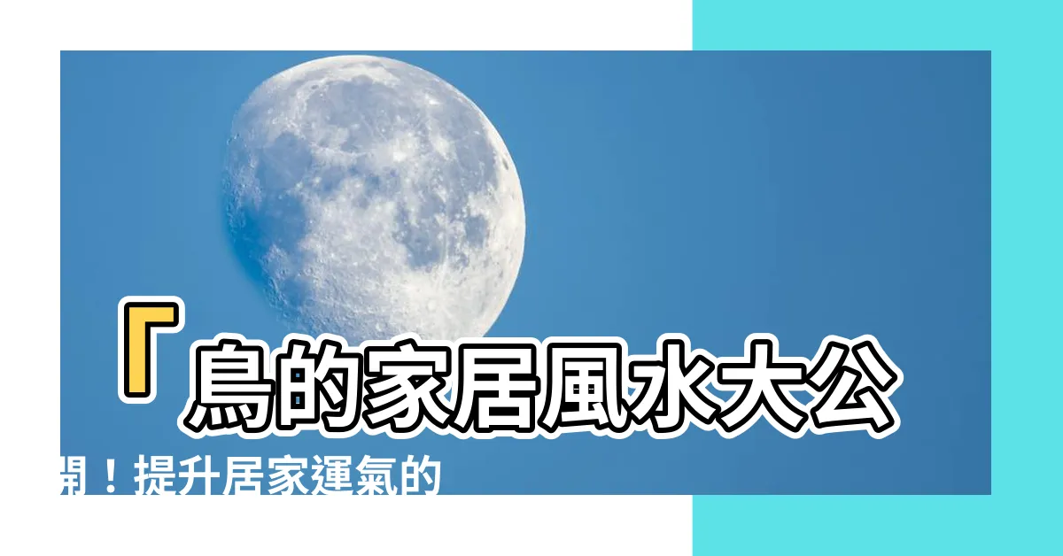 【鳥 風水】「鳥的家居風水大公開！提升居家運氣的秘訣」